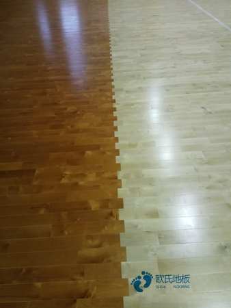 定制運動場地地板品牌大全3