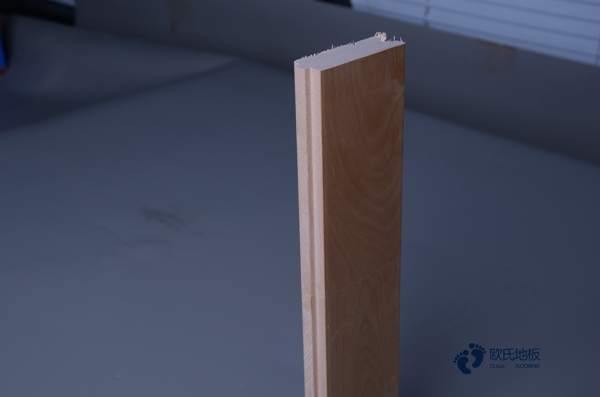 常用運(yùn)動(dòng)地板品牌哪個(gè)好1