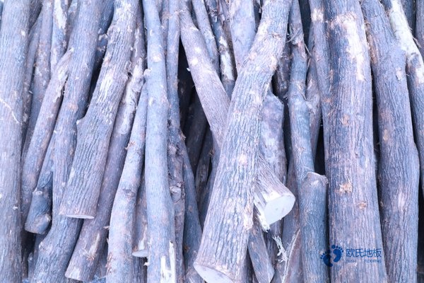 柞木運(yùn)動籃球木地板價格是多少